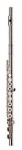 flute rental